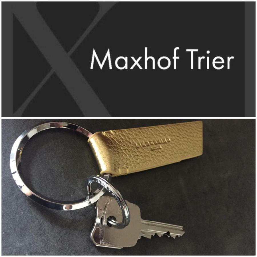 Maxhof Trierアパートメント エクステリア 写真